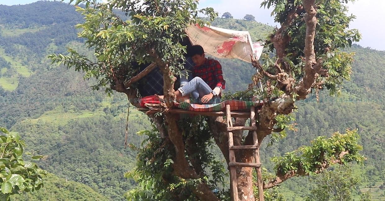 अनलाइन कक्षा लिन रुखमै अस्थायी डेरा बनाउनुपरेको बाध्यता